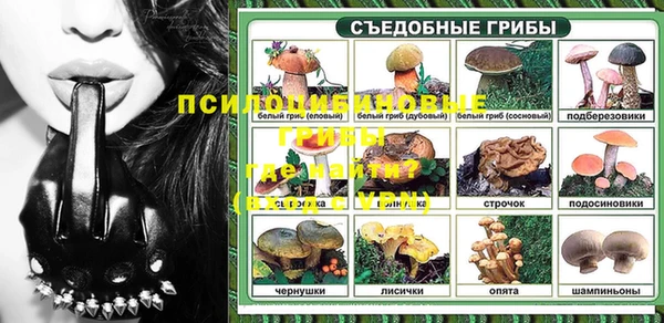 индика Сатка