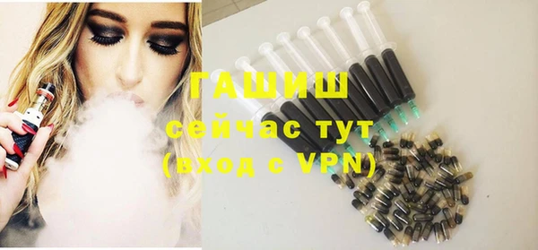 индика Сатка