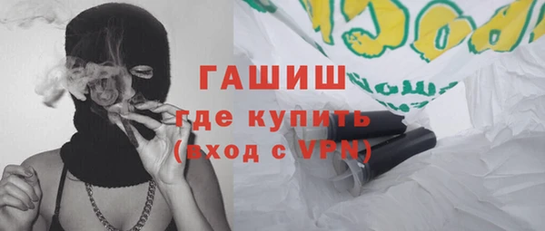индика Сатка