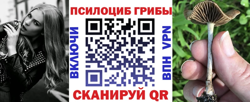нарко площадка наркотические препараты  Славянск-на-Кубани  Галлюциногенные грибы мухоморы  OMG вход 